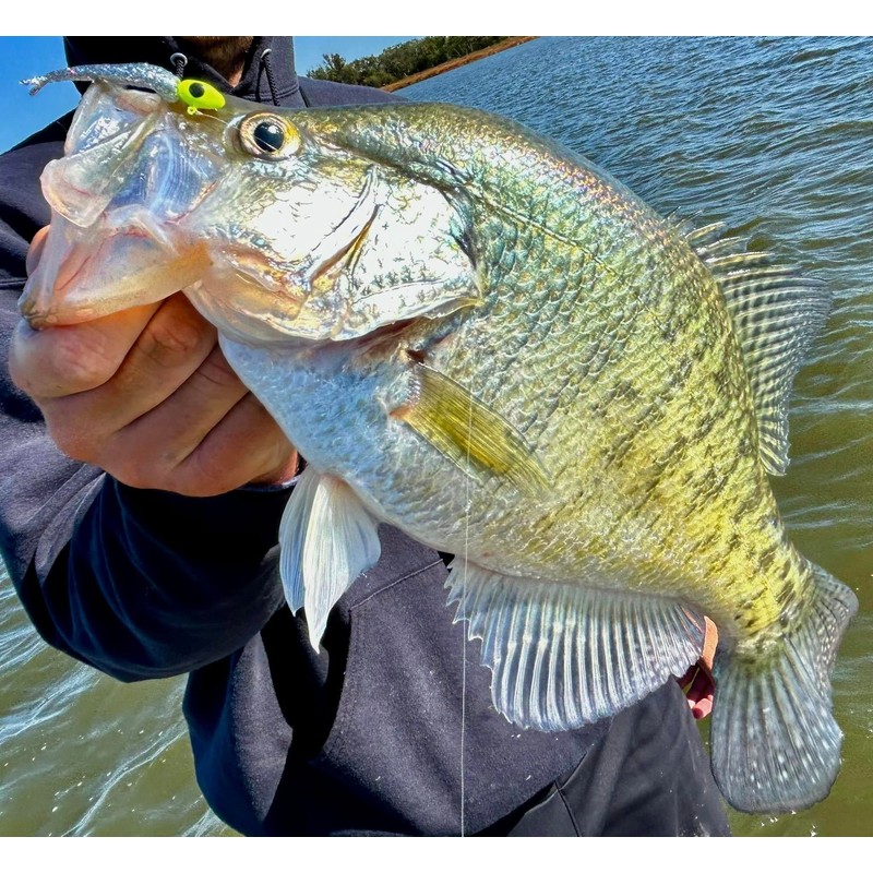 Bobby Garland Live Roam'R - Monkey Milk - 1.75"