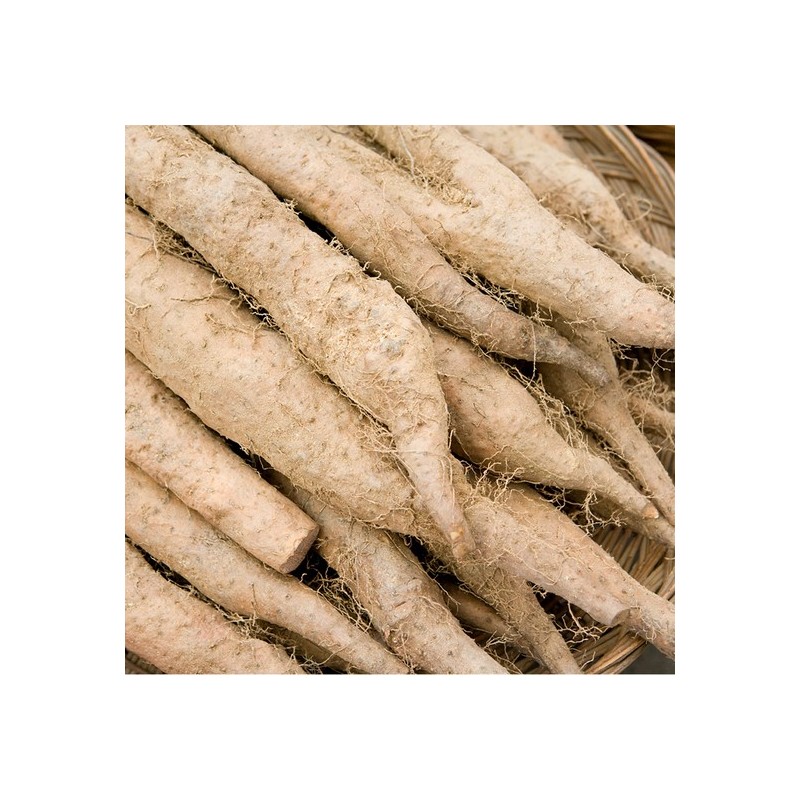 1 pack of domestic Chinese yam powder 500g / 국산