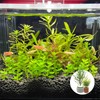 Rainmae 16 Pack New Upgrade Aquarium Plant Weights, Aquatic Water