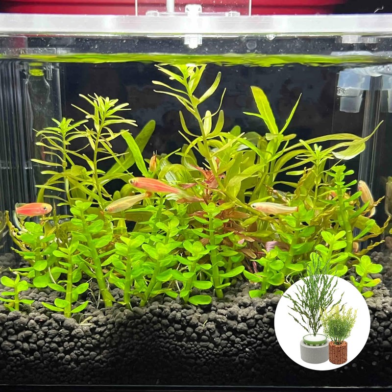 Rainmae 16 Pack New Upgrade Aquarium Plant Weights, Aquatic Water