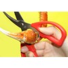 Top Products TK-81 Crab Scissors