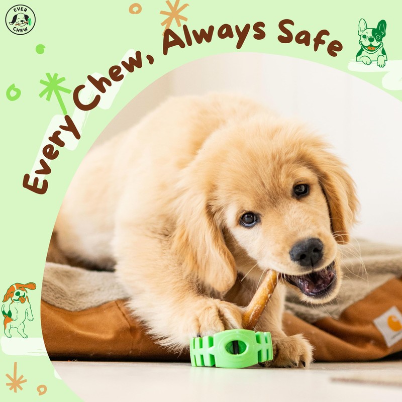 EverChew | Premium 6" Low-Odor Bully Stick Refill Packs –