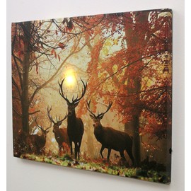 BANBERRY DESIGNS LED Wall Art - Big Buck Lighted Canvas Print - White Tail Bucks in Forest - Wildlife Wall Art - LED Light Up Deer Picture - Measures 15.75" W X 11.75" H