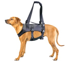 Doggie Stylz Dog Lift Harness for Large Dogs Full Body Support Sling Dog Carrier has Adjustable Handles Recovery Vest for Senior Dogs, Arthritis Joint Injuries, Mobility Aid Back Leg Support (XL)