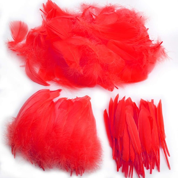 Feather for Crafts,250 Pcs Coloured Feather Striking Feathers for DIY