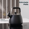 SILBERTHAL Induction Kettle 2.8 L - Stainless Steel Tea Kettle
