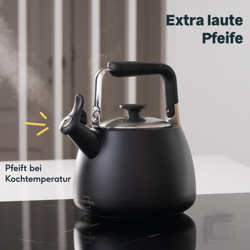 SILBERTHAL Induction Kettle 2.8 L - Stainless Steel Tea Kettle