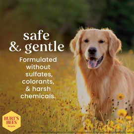 Burt's Bees for Pets Deodorizing Spray for Dogs with Apple and Rosemary, 99.7% Natural Origin Formulas, Waterless Dog Shampoo - Gentle Dry Shampoo for Dogs, Best Dog Shampoo, 10 oz