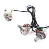Alnicov Red Chelonian Shell Sound Hole Magnetic Pickup with Tone