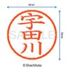 Shachihata Stamp Name 6 Correction Stamp XL - 6 Stamp