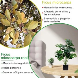 Plantas Artificiales Grandes,Árbol en Maceta simulación,Árbol Artificial para decoración de Sala de Estar,con palangana de plástico,Adecuada para...  