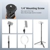 NEEWER Basics Photography Light Stand, 81" Extendable Metal Portable Adjustable