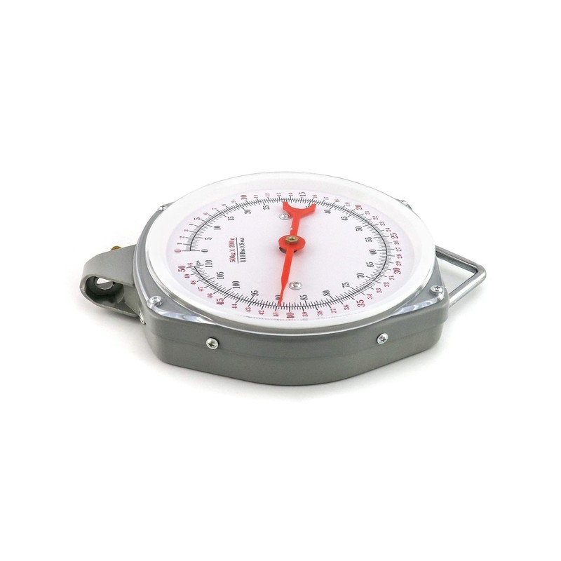 QWORK Precision Hanging Scale, 110lbs / 50kg Capacity, Dual Unit,