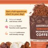 360 Nutrition Instant Mushroom Coffee with Reishi, Lion’s Mane, Chaga