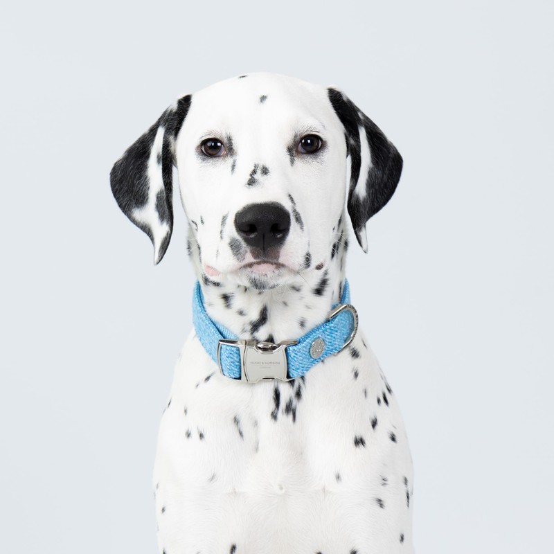 HUGO & HUDSON Tweed Dog Collar, Luxury Adjustable Quick Release