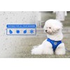 Pet's Playground Small Dog Harness | No Pull & Puppy