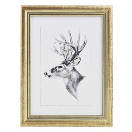Woltu Picture Frame Artos Style Wood Frame, Photo Gallery Glass Panel