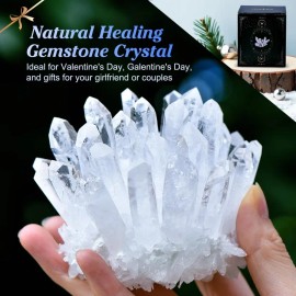 CrystalHola 200-300g Crystal Freeform Rocks and Crystal Gemstone Souvenir Healing Crystal Crafts Souvenir Gift Clear Quartz ClusterColor: Clear Quartz Cluster, Size: 200-300g/0.44-0.66lb