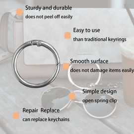 10Pack 1 Inch Small Springs O Ring, Round Carabiner Keyring, Snap Clip Trigger Springs Keyrings Buckle, Metal Spring O Rings Clip Keychain for Handbag, Lanyard Lanyard and Bag (Silver)