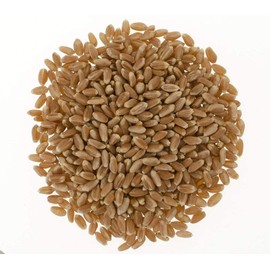Hard Red Spring Wheat Berries • Non-GMO Project Verified • 3 LBS • 100% Non-Irradiated • Certified Kosher Parve • USA Grown • Field Traced • Cotton Bag