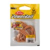 Berkley PowerBait Power Floating Trout Worm Fishing Bait, Natural, 3in