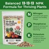 Gardenera 13-13-13 Slow Release Granular Fertilizer – All Purpose Plant