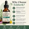 Lymphatic Drainage Drops, 2000mg Herbal Blend with Elderberry & Echinacea