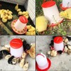 Set of 2 Chicken Automatic Water Feeder Automatic Feeder Bird