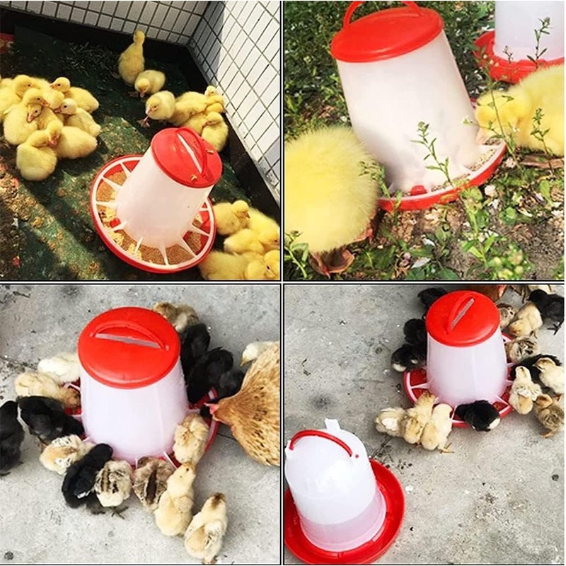 Set of 2 Chicken Automatic Water Feeder Automatic Feeder Bird