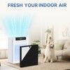 2 Pack A-1 Replacement Filter Compatible with AMEIFU A-1 Air