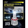 Cougar Motor Fog Bulb, Plug-N-Play, Pack of 2