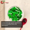 NY Spice Shop Gummy Frog Candy - 3 Pound Edible