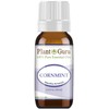 Cornmint Essential Oil 10 ml (Japanese Peppermint) 100% Pure Undiluted Therapeutic Grade.