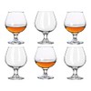 Srgeilzati Snifters 8.8 oz Shot Glasses Set of 6 Cute