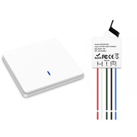 QIACHIP 220 V 230 V Wireless Light Switch, 433 MHz Wireless Switch for Lamps up to 1500 W, 10 A Mini Receiver with Remote Control