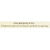 Harney & Sons Green Tea, Japanese Sencha, 20 Count (Pack