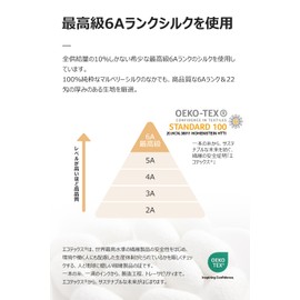 SGMSILK Silk Pillow Cover, 22 Momme, 100% Natural, Grade 6A, 19.7 x 27.6 inches (50 x 70 cm), Zippered, OEKO-TEX Certified, Single-Sided Silk Pillow Case, Sleeping Habits, Antibacterial, Odor