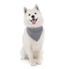 Balec Grey Bandanas by Dozen 12 Pack for Women and