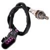 Road Passion Sensor de oxígeno O2 compatible con Polaris General