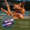 Wilderdog Waterproof Dog Collar - Repels Water & Dirt -