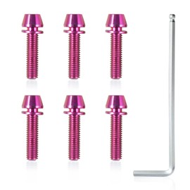 SPEEDWOX 6 Pcs Allen Hex Tapered Bolts Screws with Hex Wrench, Titanium M5x20mm with Washer, MTB Road Mountain Bike Bicycle Stem Bolt Screws Purple for MTB Bike Bicycle Stem
