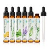 ORIENTLEAF Essential Oils Set for Diffusers, Fragrance, Aromatherapy Gifts for