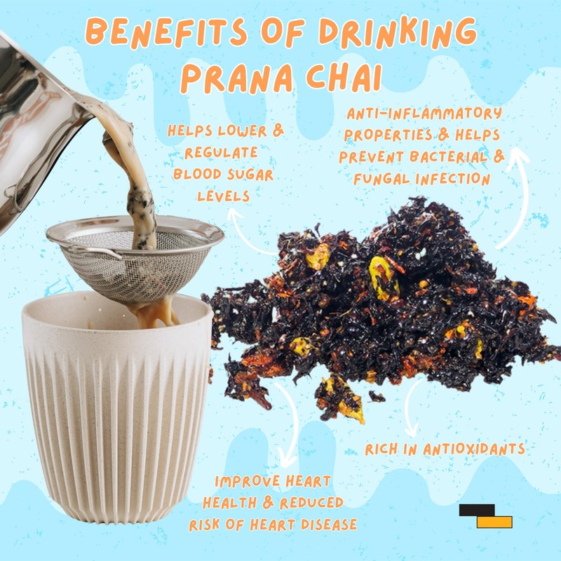 Prana Chai Home Brew Gift Set