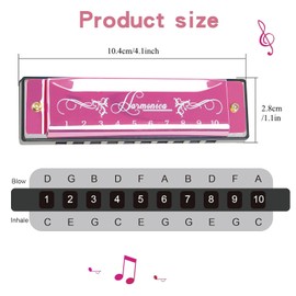 10 Holes Diatonic Harmonica, C Key Major Blues Harmonica, 20 Tones Mouth Organ with Case for Professional Player Beginner Teacher Adult Friends(Rose Red)