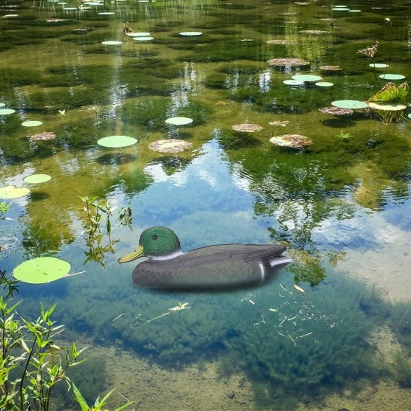 Mallard Duck Decoy, Plastic Floating Duck Decoy Simulation Hunting Duck