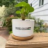 DecStic Custom Your Name with Palestinian Flag Ceramic Planters Festival