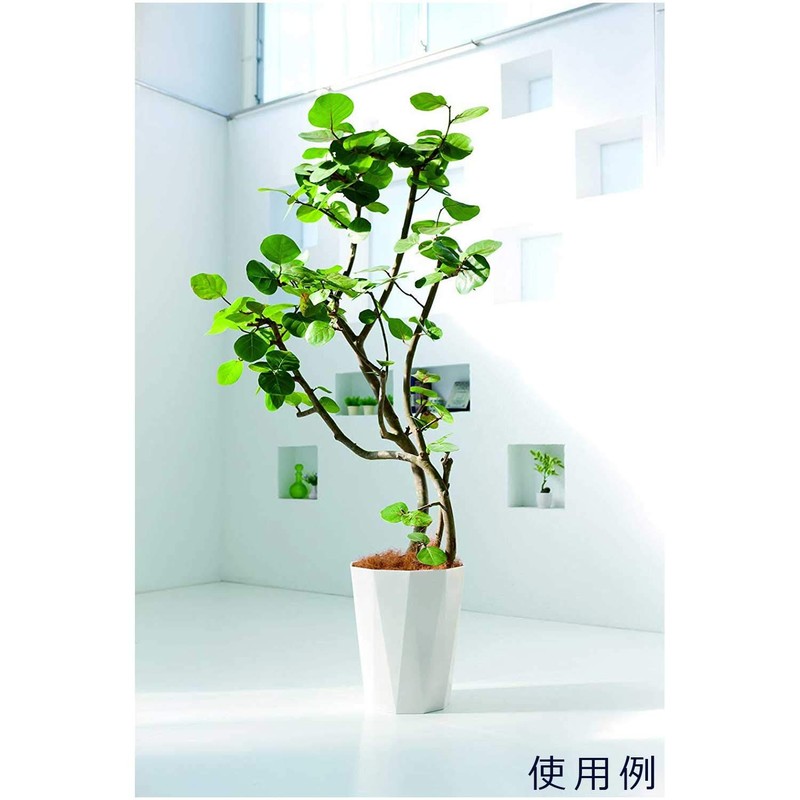 Daiwa Plastic Pot Cover Quartz PBK 180 Pearl Black