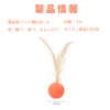 Cat Toy, Elastic Ball, Peto Toy, Feather Toy, Cat Supplies,