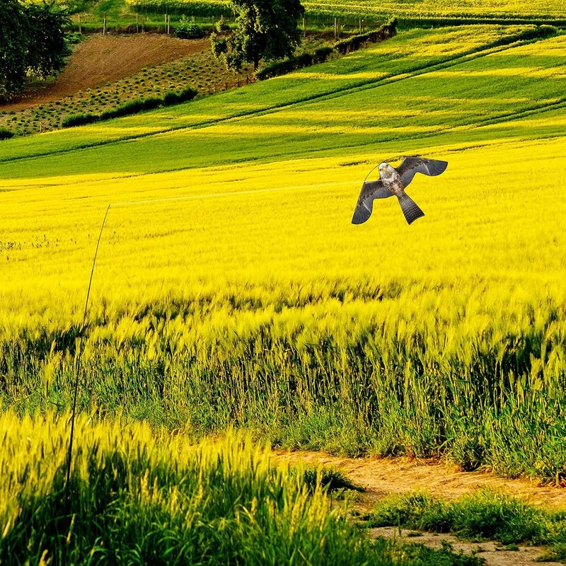 flyonte Bird Hawk Flying Kite with Pole Crop Protector Bird