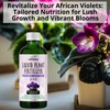 GARDENWISE 3-1-2 African Violet Fertilizer for Indoor Plants: Liquid Fertilizer